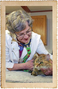 AAHA-AVMA Canine and Feline Preventive Healthcare Guidelines